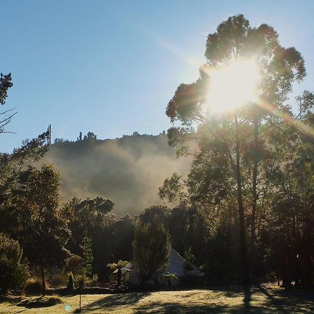 Glamping At Zeehan Bush Camp Hotell Eksteriør bilde