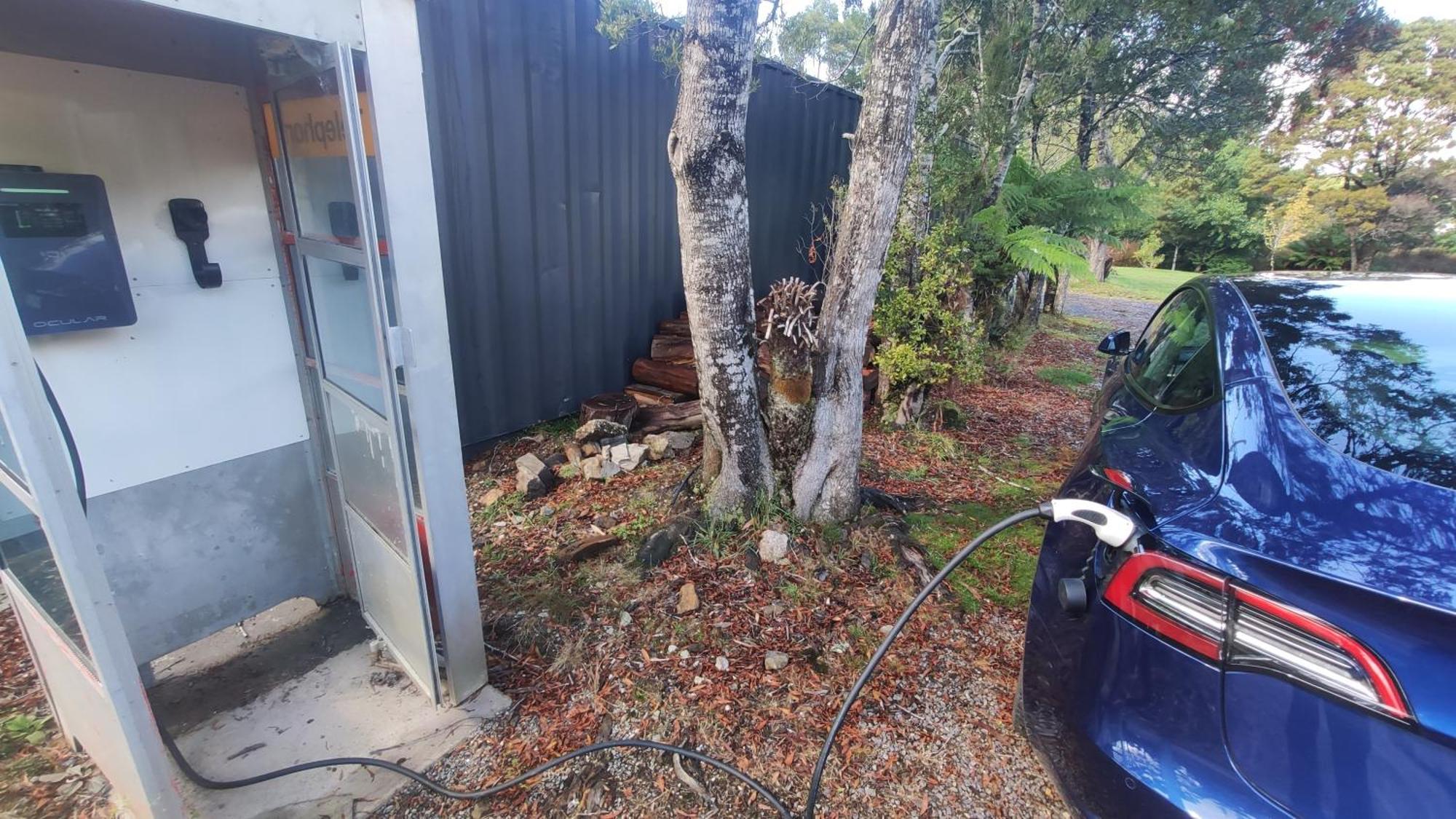 Glamping At Zeehan Bush Camp Eksteriør bilde