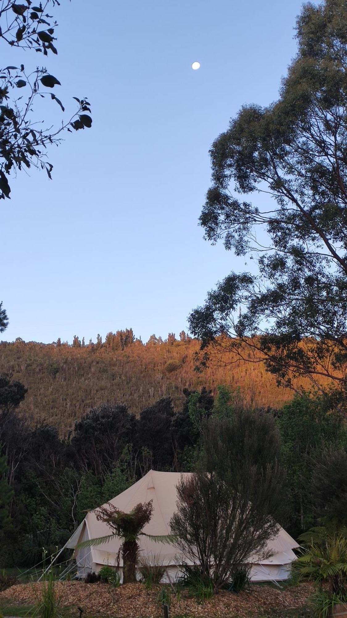 Glamping At Zeehan Bush Camp Hotell Eksteriør bilde