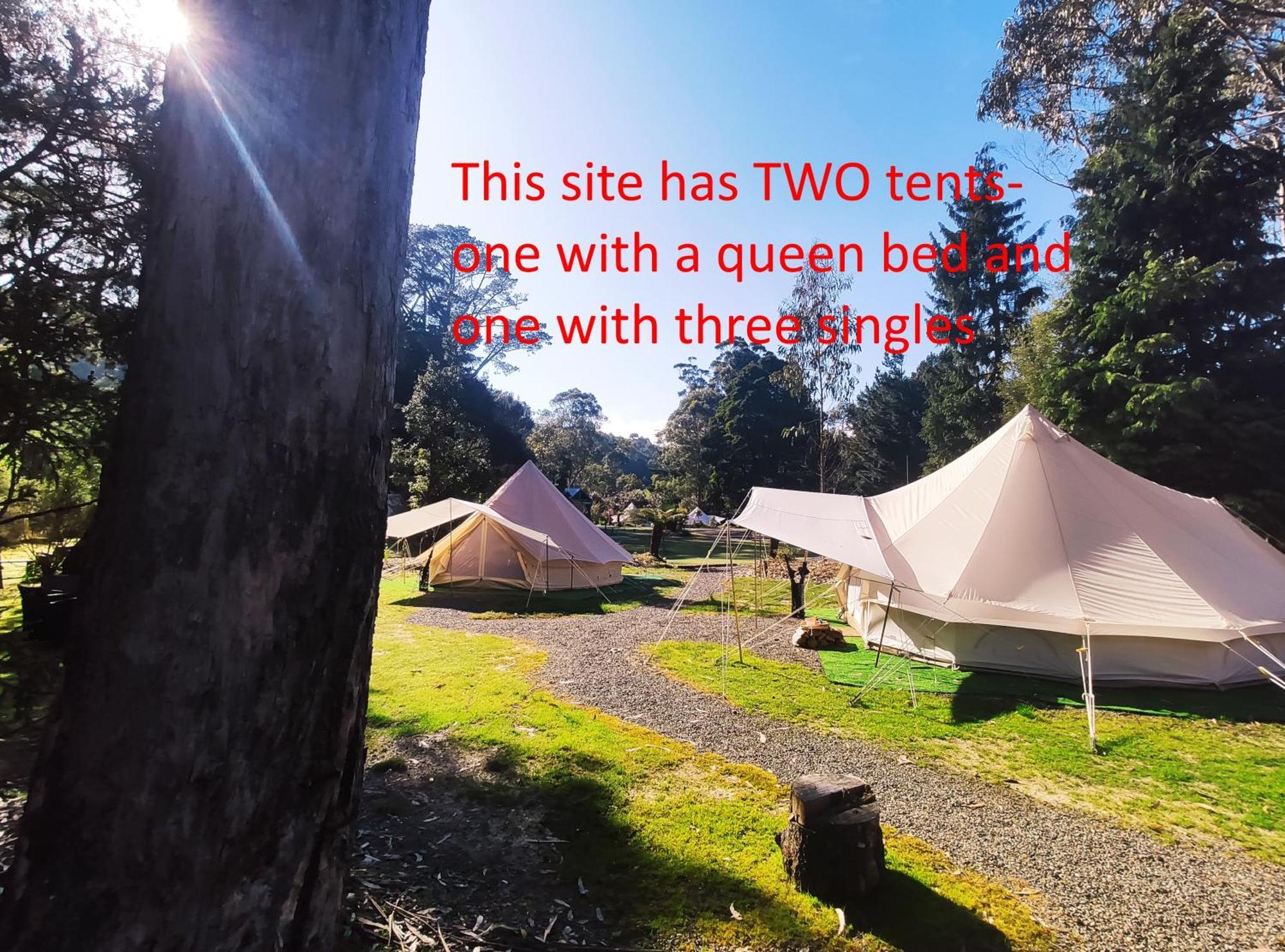 Glamping At Zeehan Bush Camp Hotell Eksteriør bilde