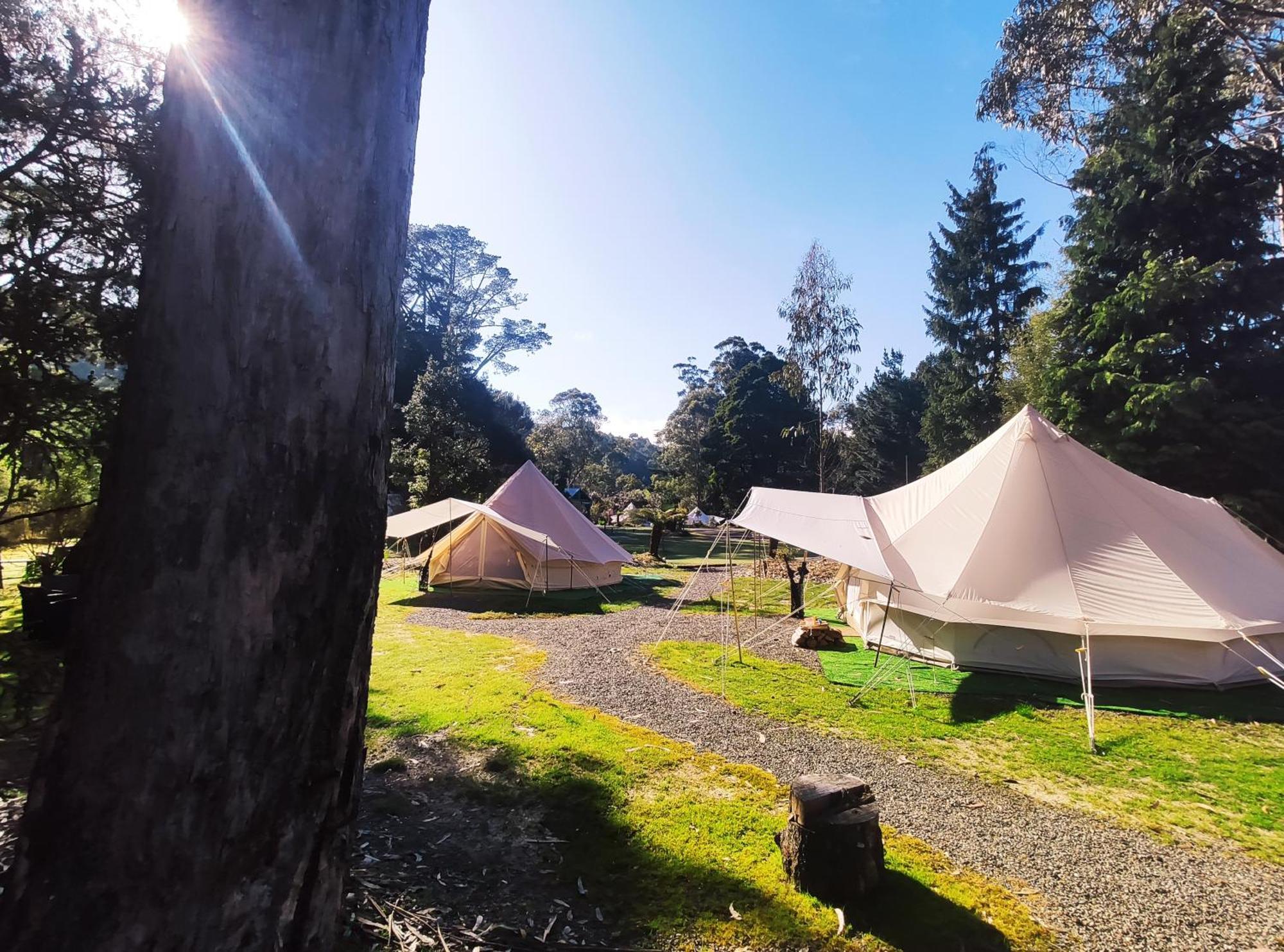 Glamping At Zeehan Bush Camp Hotell Eksteriør bilde