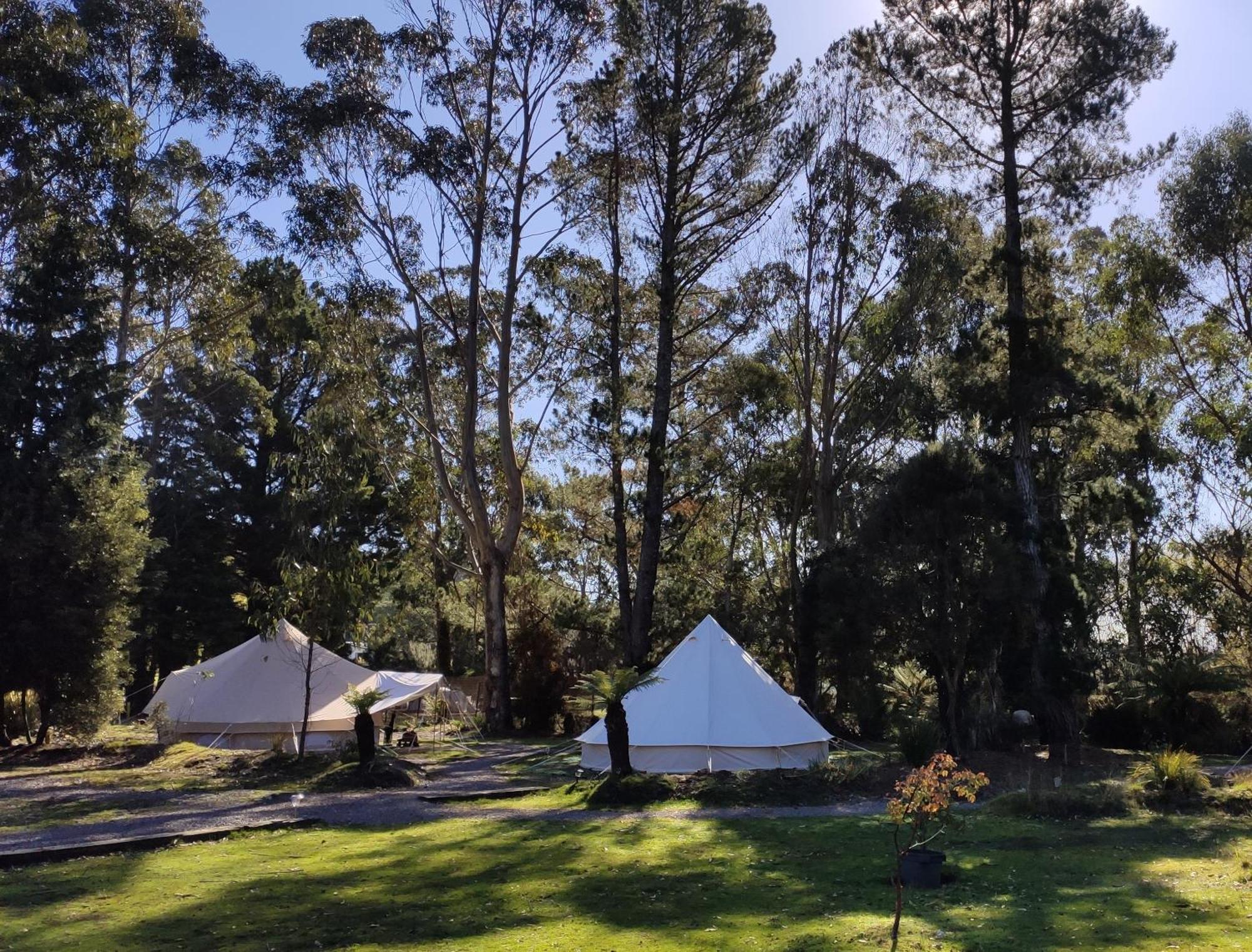 Glamping At Zeehan Bush Camp Eksteriør bilde