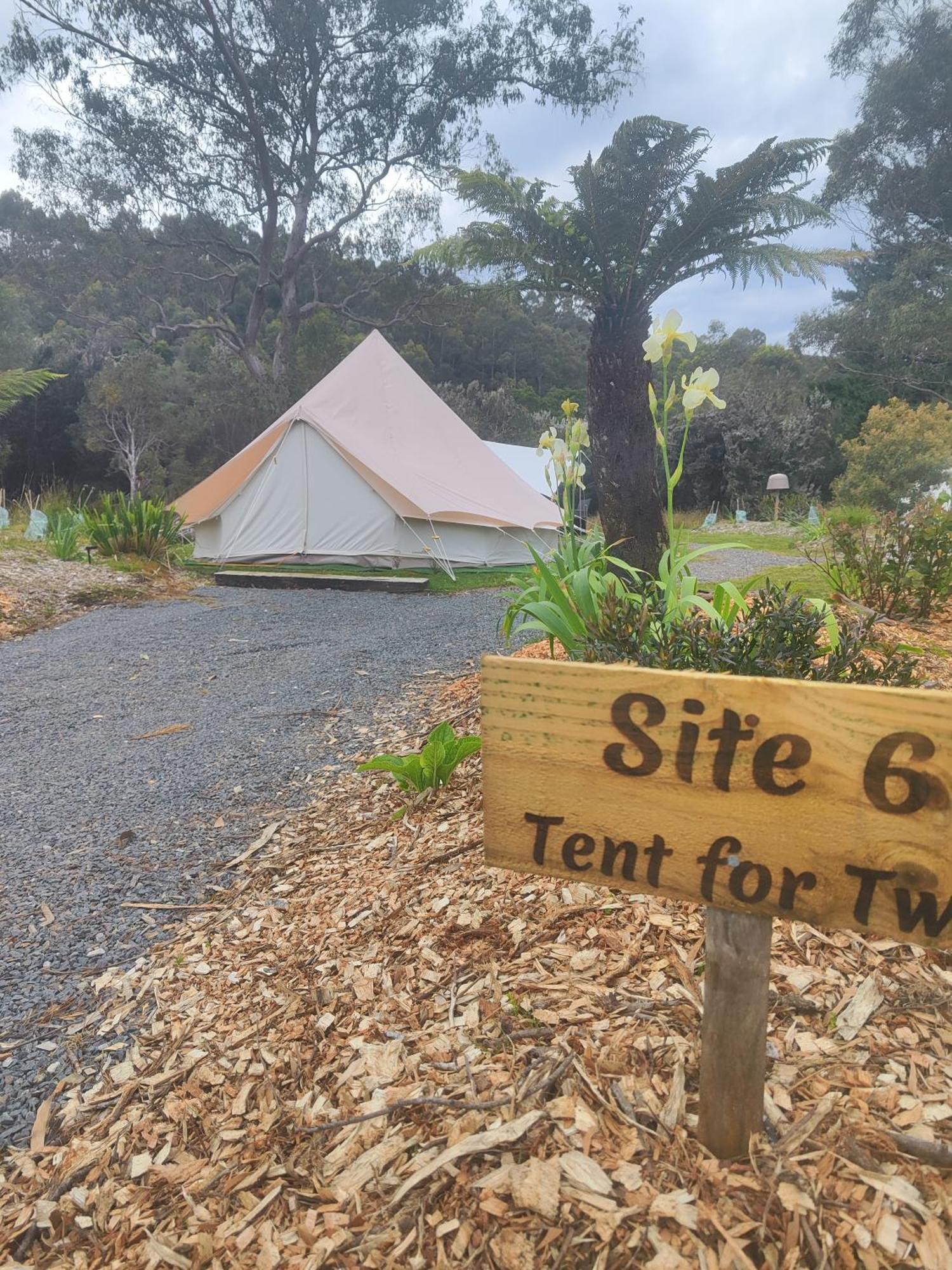 Glamping At Zeehan Bush Camp Eksteriør bilde