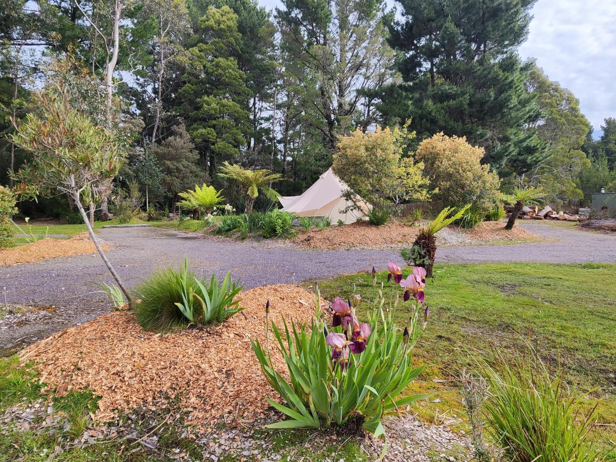 Glamping At Zeehan Bush Camp Hotell Eksteriør bilde