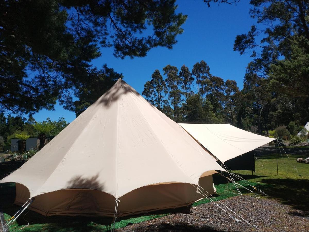 Glamping At Zeehan Bush Camp Eksteriør bilde